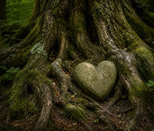 Lovebody - Next Level Tantra – närvaro, energi & autentisk kontakt Heart-shaped stone resting among mossy tree roots in a forest clearing.